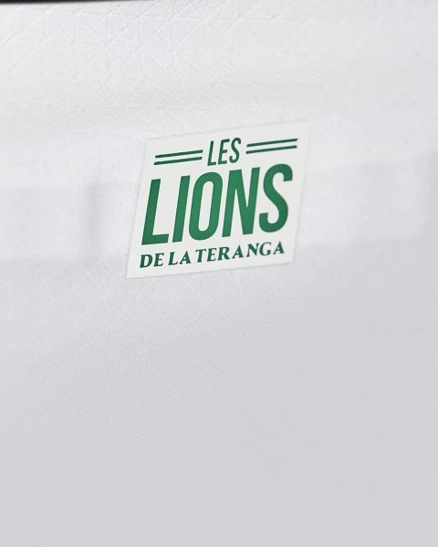 Nogometni Dresovi Svjetsko prvenstvo 2022 Senegal Domaći